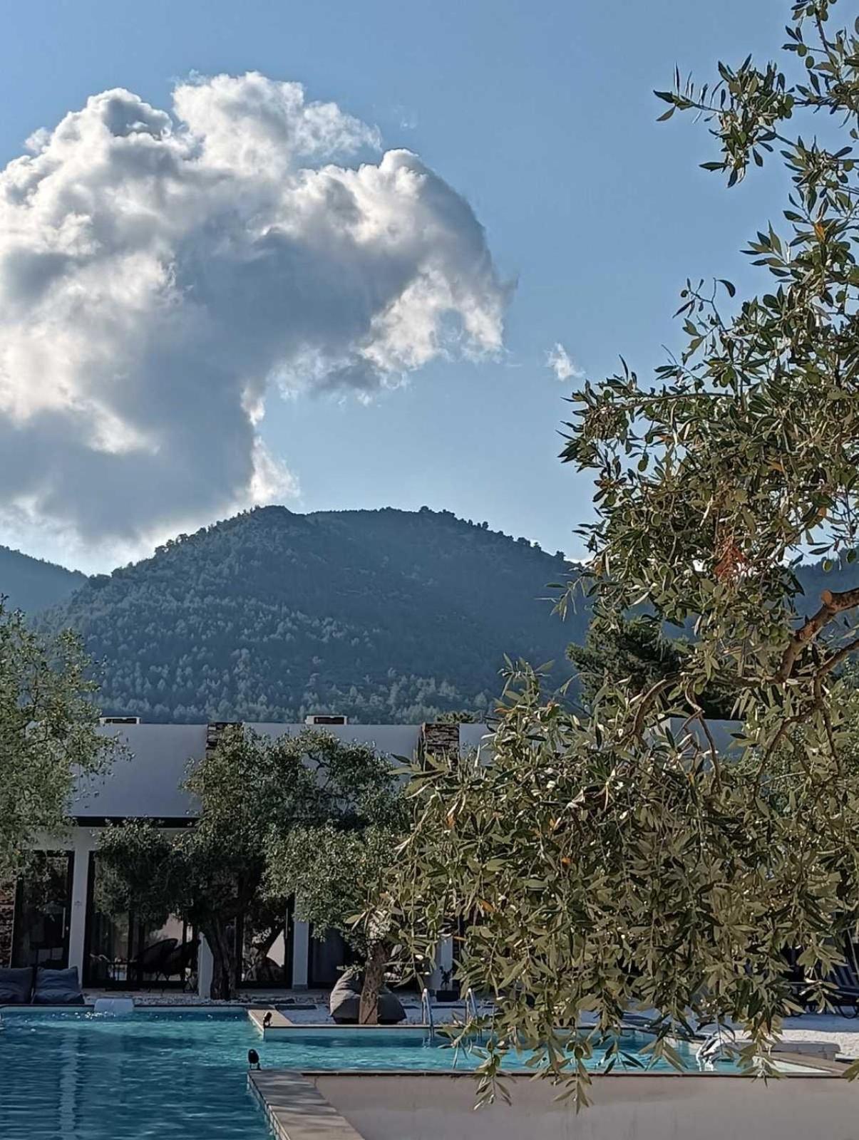 The Olive Hills Otel Skala Rachoni  Dış mekan fotoğraf